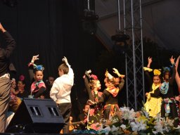 Festival de Folkore en Mula